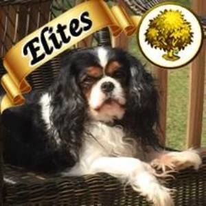 Meet your Posher, Jean